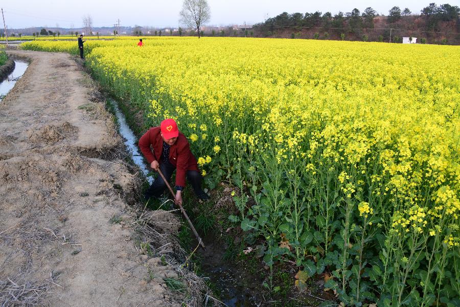 貧困戶老楊的人生&ldquo;三級跳&rdquo;