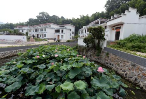 從&ldquo;單一治理&rdquo;到&ldquo;全局治理&rdquo;：贛南老區展示生態新畫卷