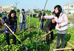 浙江鄉鎮駐村干部：手拿&ldquo;百曉圖&rdquo;奔走&ldquo;民生路&rdquo;