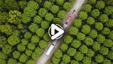 第十一集：你好！地球衛士