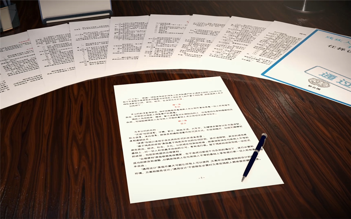 2006年12月，《殘疾人權利公約》在聯合國大會獲得通過