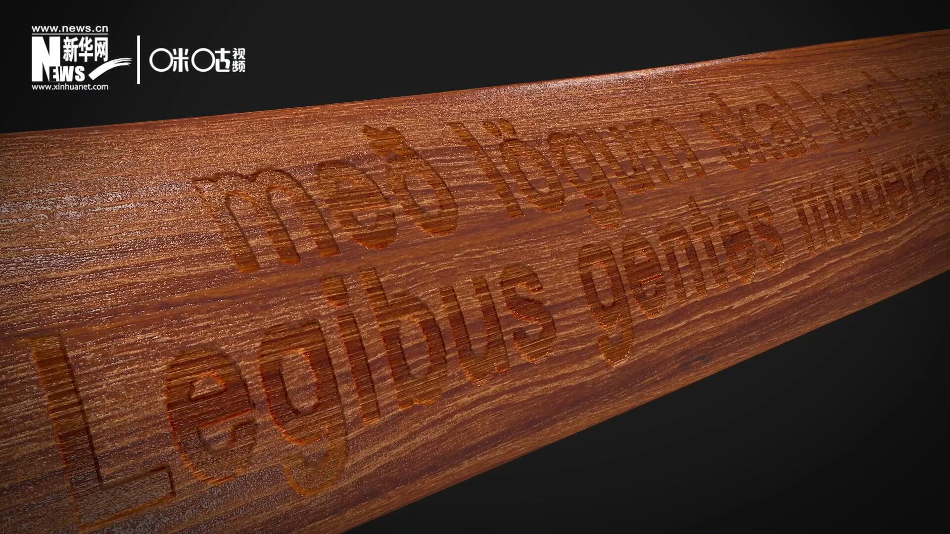 這把木槌尺寸超大、顏色棕紅、精雕細刻，上面刻有&ldquo;社會必須建立在法律的基礎上&rdquo;。