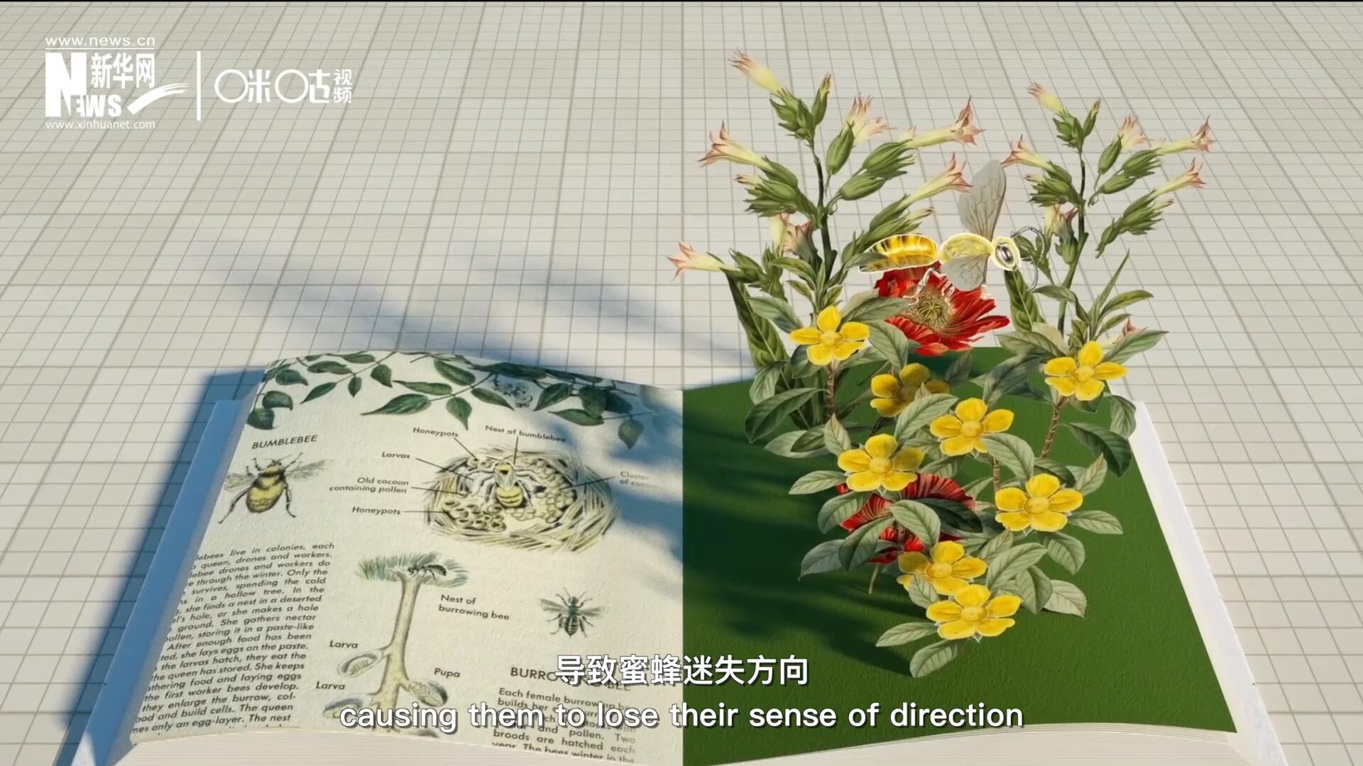 殺蟲劑會破壞蜜蜂的神經(jīng)系統(tǒng)，導(dǎo)致蜜蜂迷失方向，無法回到蜂房，還會降低蜜蜂的抵抗力
