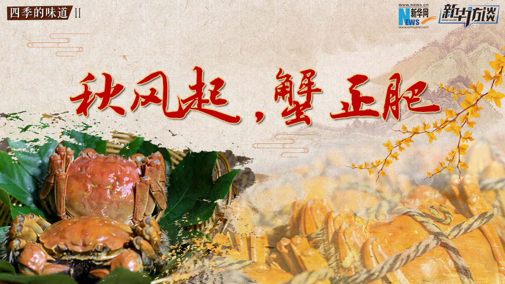 秋風起，蟹正肥