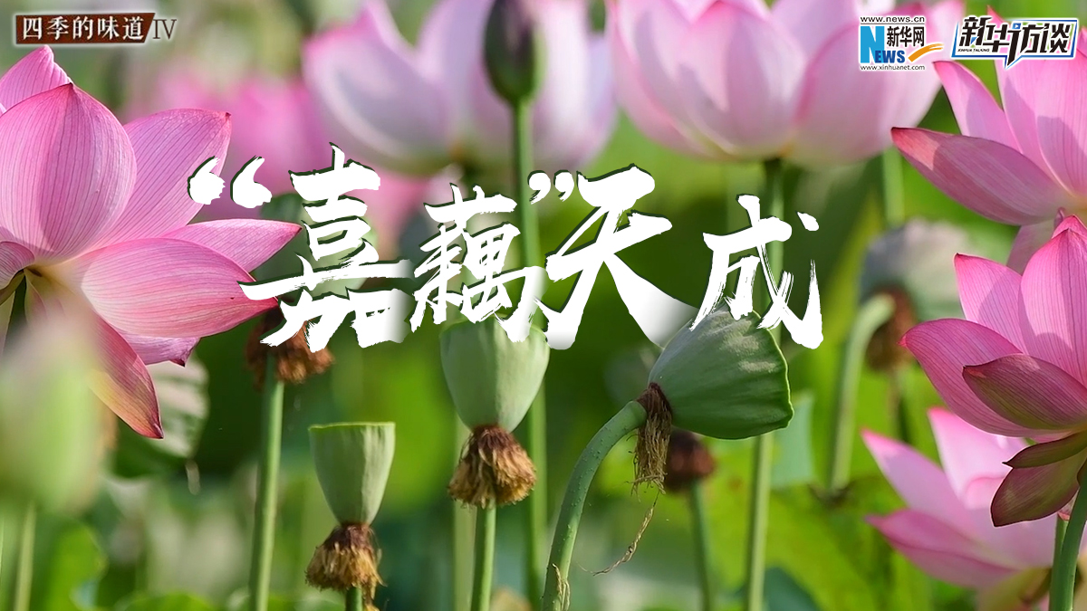 &ldquo;嘉藕&rdquo;天成