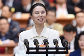 楊佳委員發言