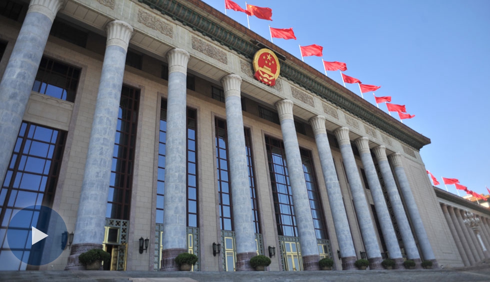 全國政協十三屆一次會議首場&ldquo;委員通道&rdquo;