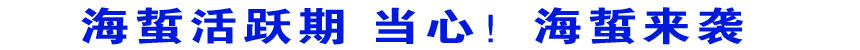 海蜇活躍期 當(dāng)心!海蜇來襲