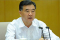 汪洋:部分游客素質不高 損國人形象