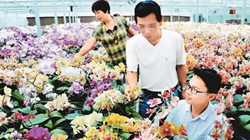 臺(tái)商眼中的改革開放：風(fēng)景這邊獨(dú)好 要去，要去，要去！