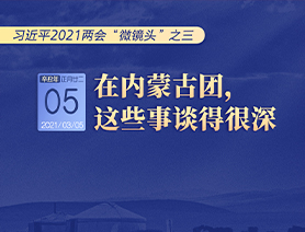 習(xí)近平2021兩會(huì)&ldquo;微鏡頭&rdquo;之三 3月5日 在內(nèi)蒙古團(tuán)，這些事談得很深
