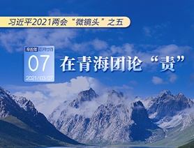 習近平2021兩會&ldquo;微鏡頭&rdquo;之五：3月7日 在青海團論&ldquo;責&rdquo;