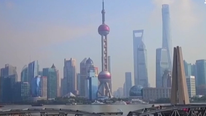 上海啟動&ldquo;數字伙伴計劃&rdquo; 助老年人跨越數字鴻溝