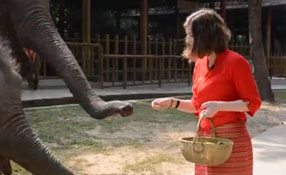 勐巴拉娜西！&ldquo;洋記者&rdquo;帶你游西雙版納