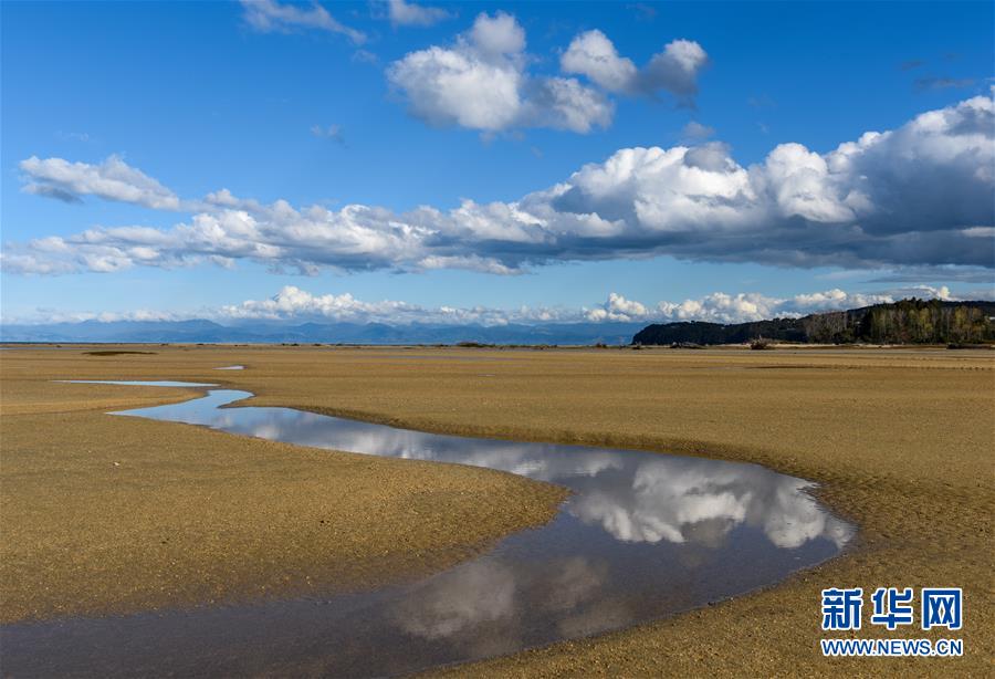 （國際）（2）新西蘭阿貝爾&middot;塔斯曼國家公園風(fēng)光