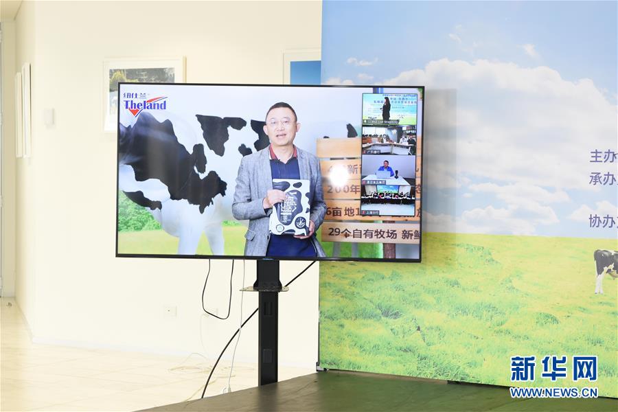 （國(guó)際&middot;圖文互動(dòng)）（2）中國(guó)-新西蘭乳制品商貿(mào)洽談會(huì)簽約金額超12億元