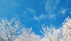 湖北?？蹈呱届F凇美如畫