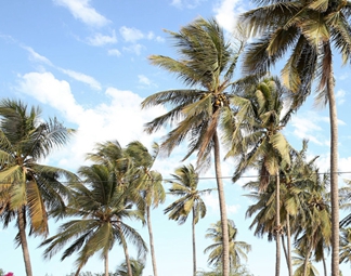 &ldquo;西非門戶&rdquo;塞內加爾