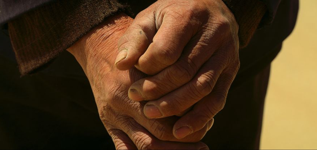 正式發布！《攜手，為人民》中國共產黨與世界政黨領導人峰會暖場片