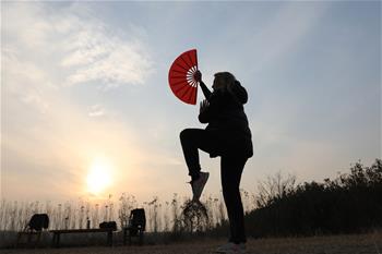 &ldquo;洋弟子&rdquo;安娜的太極情緣