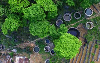 從禿山到青山的蝶變&mdash;&mdash;廣西石漠化治理10年再現(xiàn)發(fā)展生機