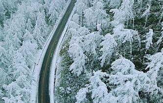 湖北現&ldquo;林海雪原&rdquo; 銀裝素裹風景如畫