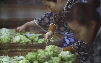涪陵榨菜：舌尖上的&ldquo;國民下飯菜&rdquo;