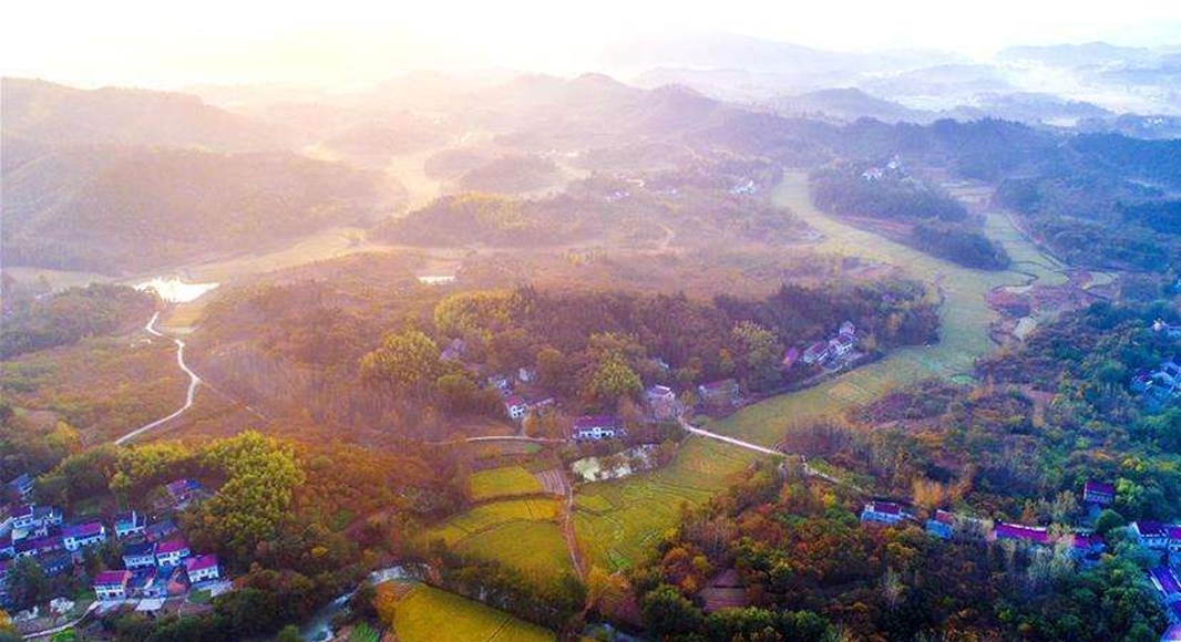 產業新城 探索產城深度融合